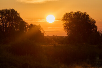 Summer sunrise over the trees