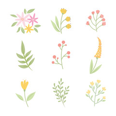 Flower Clipart Set in Bright Colors