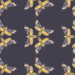 Seamless watercolor pattern featuring death's-head hawkmoth butterflies with golden stars on a dark background. Perfect for textiles, wallpapers, gothic decor, and mystical designs.