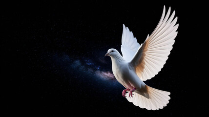 Obraz premium A pure white dove flying against a stark black background