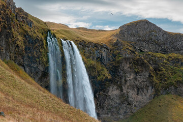 Seljalandsfoss is unique—you can walk behind it. Nearby, Gljúfrabúi is hidden in a canyon,...