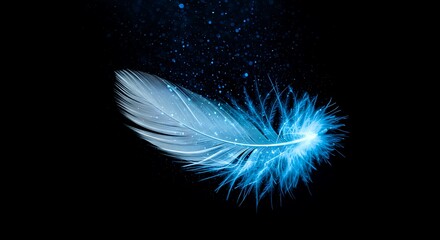 Obraz premium Glowing Blue Feather Floating in Dark Space