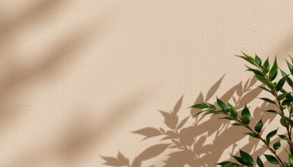 Minimalist beige background with soft natural shadows and green leafy plant in the lower right corner creating a calm and earthy aesthetic for design projects