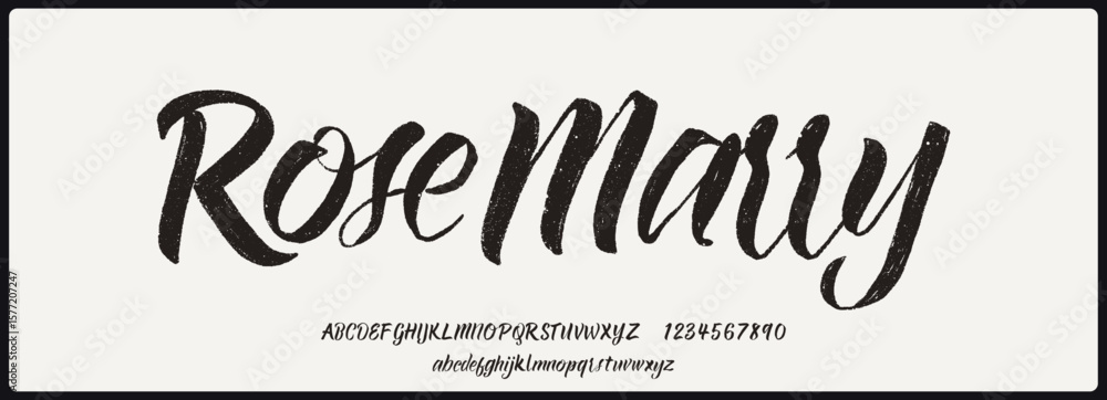Poster brush script vector font with texture. creative hand drawn uppercase and lowercase. classic letterin