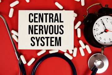 Central Nervous System text written on paper card with stethoscope and alarm clock on red background
