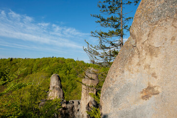 Majestic rocks of a granite rock massif on a summer day. Bright greenery of the reserve and silence.
