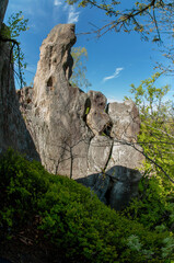 Majestic rocks of a granite rock massif on a summer day. Bright greenery of the reserve and silence.