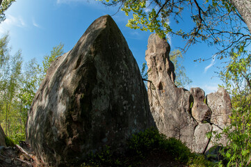 Majestic rocks of a granite rock massif on a summer day. Bright greenery of the reserve and silence.