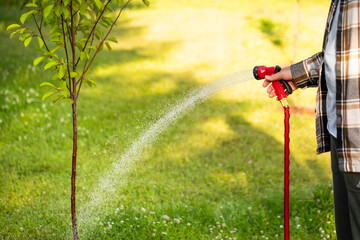 Watering garden trees, a man waters plants with a hose	