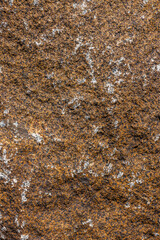 Rough textured brown and black granite rock with white inclusions - texture and background