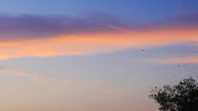 Under a radiant seaside sunset, a distant lighthouse anchors the horizon while flocks of birds soar through softly tinted skies&mdash;gentle waves ripple below, capturing peaceful motion, ambient light, and