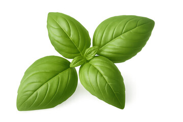 Green basil leaves floating, presenting fresh herbal essence against transparent backdrop, perfect for culinary design inspiration