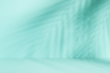 Blue background with palm shadows.