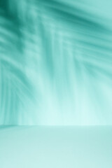 Blue background with palm shadows.