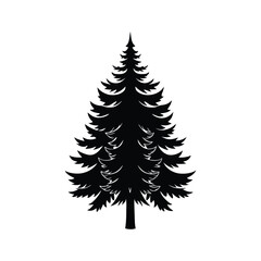 Pine tree silhouette 