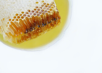 Details of the honeycomb and larvae