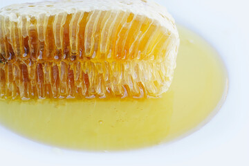 Details of the honeycomb and larvae
