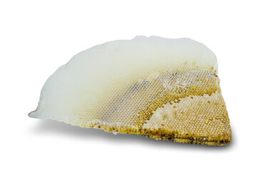Details of the honeycomb and larvae