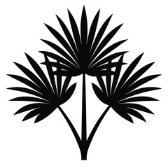 Elegant Palm Frond Illustration Tropical Plant Silhouette Graphic