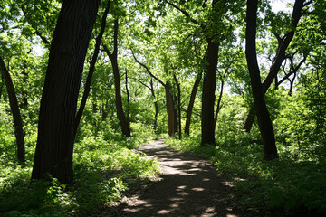 Spring hiking trail surrounded by lush green foliage