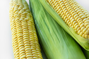 Close-up of fresh yellow corn on the cob with green husks. The vibrant kernels are perfectly...