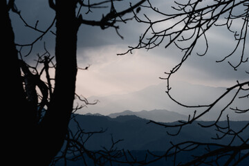 Silhouetted Trees with Mountain Layers at Dusk