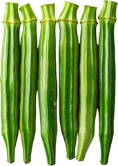 Fresh okra vegetables arranged in a line. Raw material.