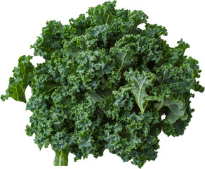 Fresh kale with rich, textured leaves. Raw material.