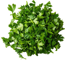Dried green herb leaves arranged together. Raw material.