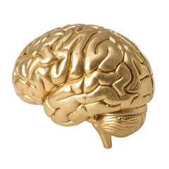 A golden brain sculpture with intricate details, set against a transparent background. The brain is realistically shaped, showcasing its folds and grooves.