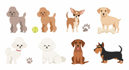 Different Dog Breeds – Simple Vector Illustration Featuring Poodle, Chihuahua, Labrador, Shiba, and More