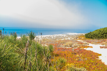 Praia do norte beach in Nazarè, Portugal