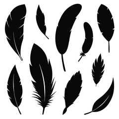 A vector set of stylized feathers and leaves for nature illustration and decoration