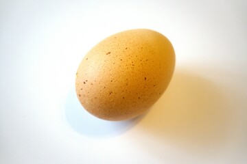 One brown egg isolated on white background