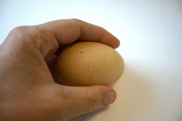 One brown chicken egg in hand with white background.