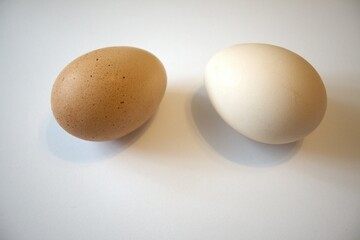Two brown chicken eggs isolated on white background
