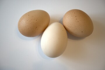 3 brown chicken eggs isolated on white background