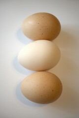 3 brown chicken eggs isolated on white background