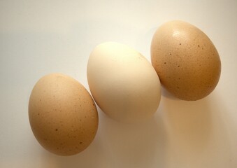 3 brown chicken eggs isolated on white background