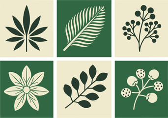 Obraz premium Collection of six stylized botanical illustrations in square frames with contrasting colors