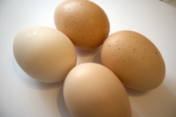 4 brown chicken eggs isolated with white background.