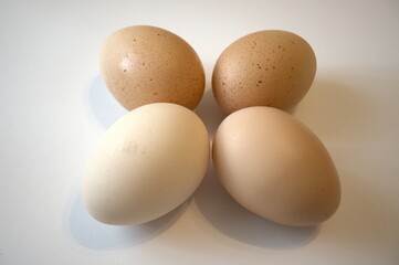 4 brown chicken eggs isolated with white background.