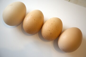 4 brown chicken eggs isolated with white background.