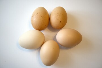 5 brown chicken eggs isolated with white background.