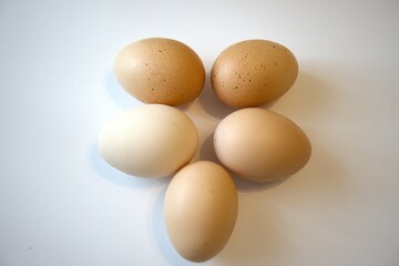 5 brown chicken eggs isolated with white background.
