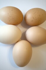 5 brown chicken eggs isolated with white background.