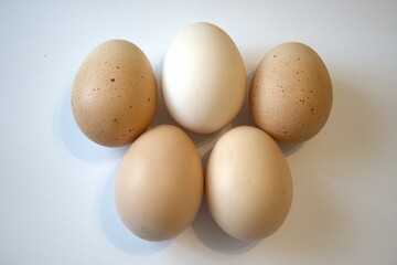 5 brown chicken eggs isolated with white background.