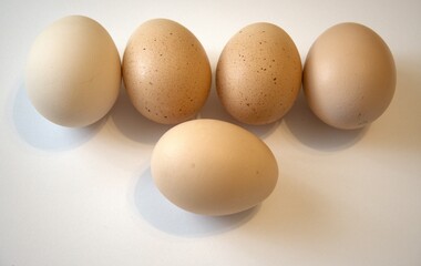 5 brown chicken eggs isolated with white background.