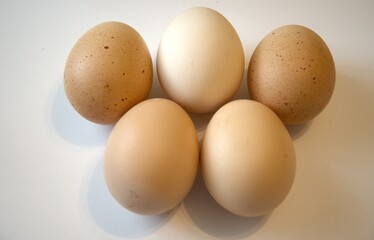 5 brown chicken eggs isolated with white background.