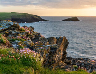 Beautiful vibrant Summer sunset landscape image of Pentire Headland in Cornwall England with...